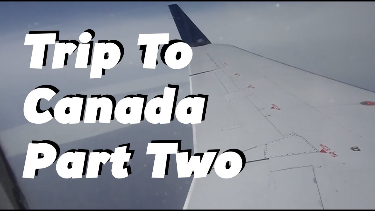 tree hut Going To Canada: Part 2