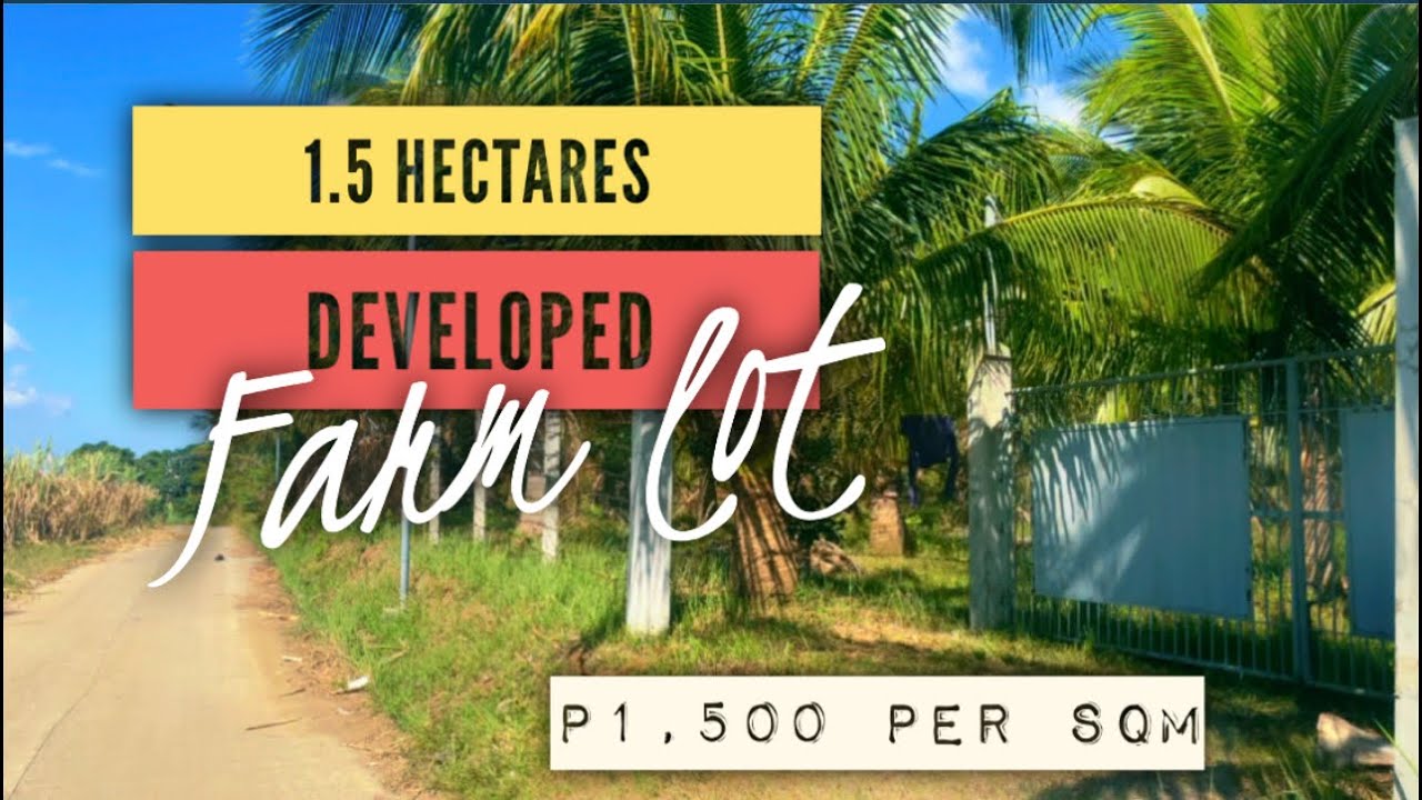 FOR SALE • Alitagtag 1.5 Hectares Developed Farm Lot farmtour 