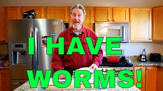 How to Start a Worm Farm