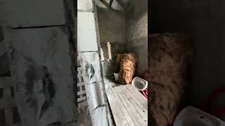 #недвижимостькалининград