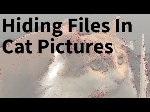 Video: How To Hide Information In An Image Under Linux