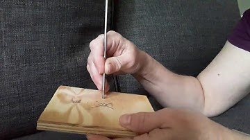 Installing camera in bluebird nestbox camera with help from simple machines