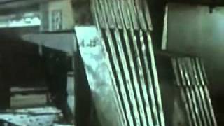 Famous LiveLeak.com - Ally Mash Up Wealth