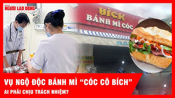 Vụ ngộ độc bánh mì “cóc cô Bích”: Ai phải chịu trách nhiệm và giải pháp bảo vệ người tiêu dùng