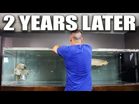 The evolution of the 375 gallon aquarium | The King of DIY