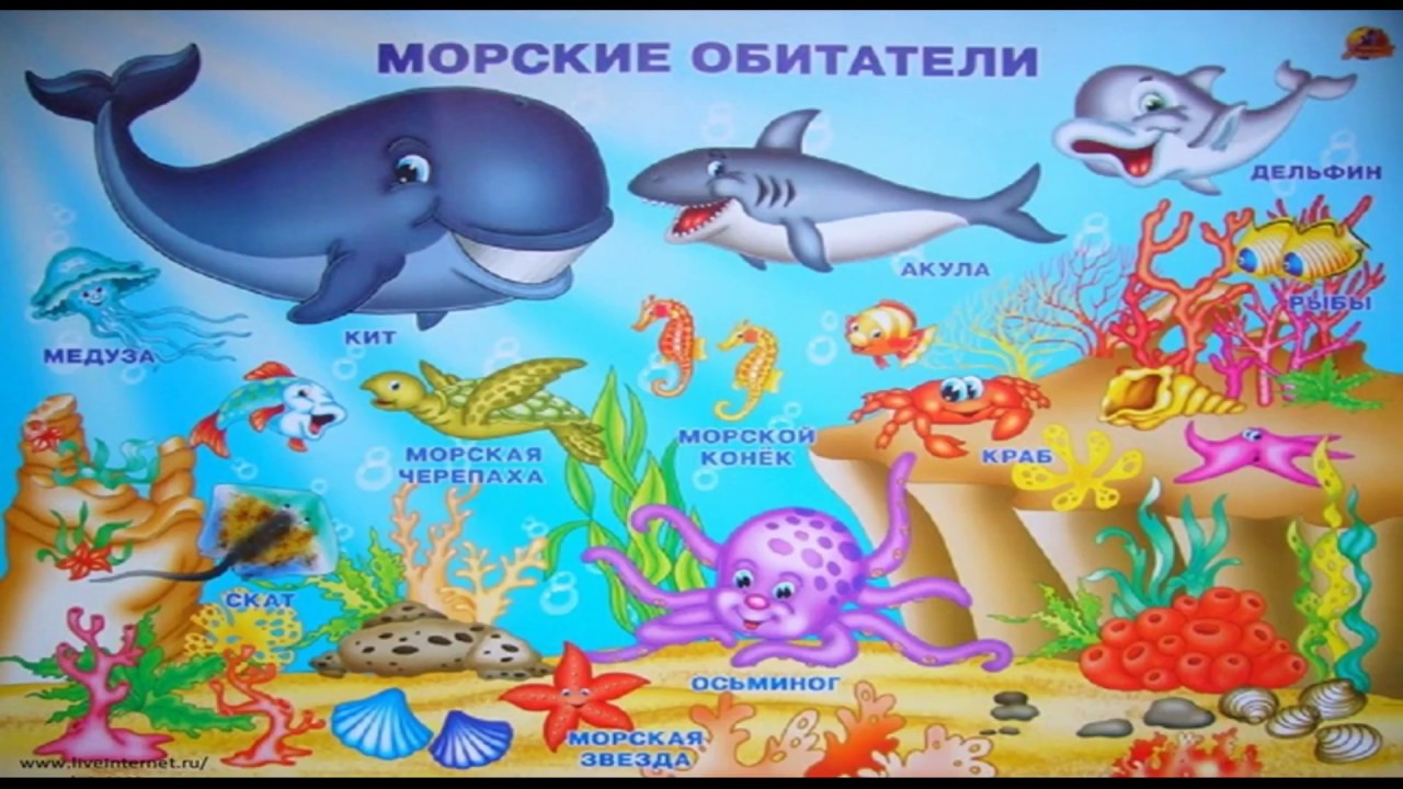 Морские Обитатели Моря Фото