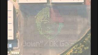 Ok Go I want let you down lyrics