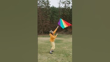 Kiki flies a kite! #forkids #kidsvideo #toddlerlearning #kidsmusic