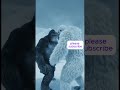 Битва титанов