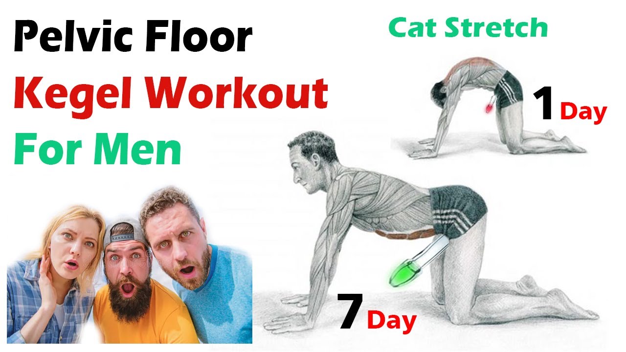 Kegel Workout with Improve Sexual Performance | Kegel Exercises Cat