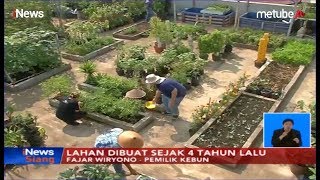 3 Cara Menanam Cabe Rawit Lengkap Dengan Gambar Dan Deskripsi