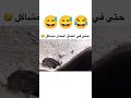  حت  في  اعماق  البحار  مشاكل  سمعها
