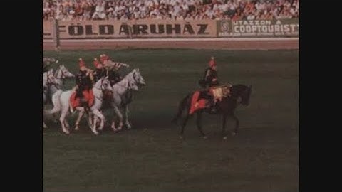 News Item (37677ccd-f4dd-9a2c-7b47-37490fd6ff66)