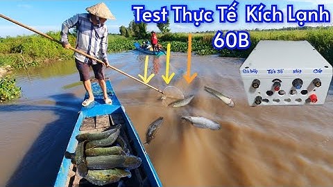 Test thực tế kích lạnh chuyên cá da trơn 60B bao cá lên đẹp, bảo hành 8 tháng.