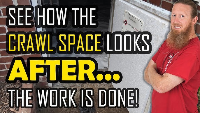 Crawl Space Ninja® Mold Test Kit DIY - 1 Test - Crawl Space Ninja