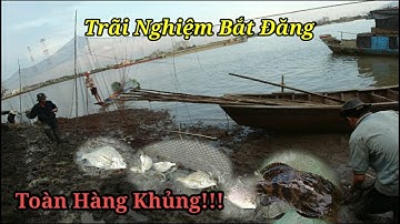 Trãi Nghiệm Lần Đầu Bắt Đăng Trên Sông Thị Vải - Đồng Nai l Nghiệp Vũng Tàu Vlog #86