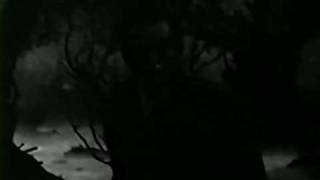 THE WOLFMAN Castle Films