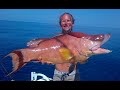 Bahamas Spearfishing✅ ►Spearfishing Underw0rld 2►Hogfish-Grouper For Dinner