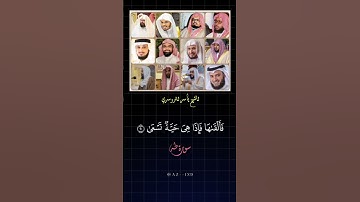 سورة طه🎧🤍 بصوت القرّاء _محمد ايوب - السديس - القطامي - الدوسري - المعيقلي#اكسبلور#ايات_قرانيه_قصيره
