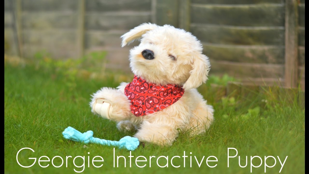 interactive dog