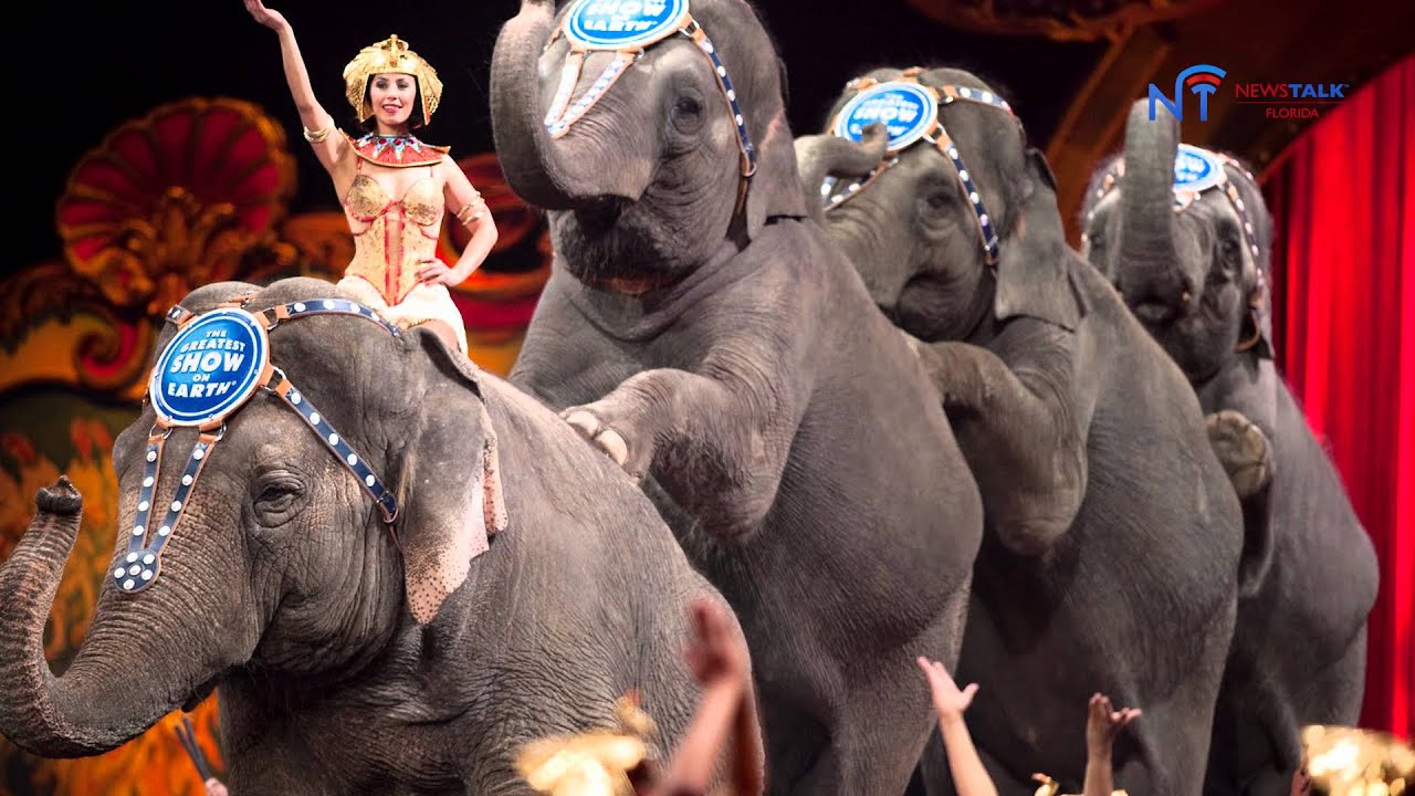 politics today Barnum & Bailey To End This Practice