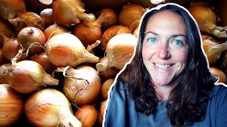 NEVER buy onions or seed AGAIN