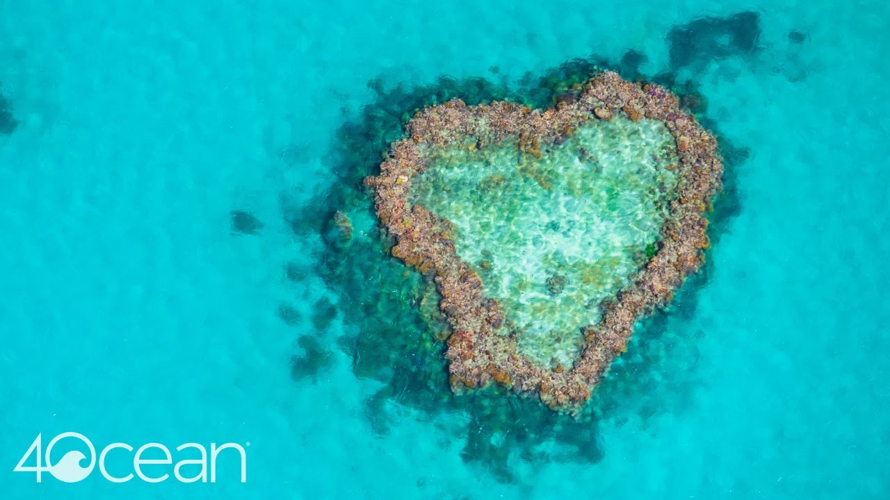 Great Barrier Reef Foundation