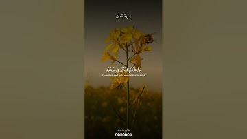#سورة_لقمان بصوت الشيخ #ياسر_الدوسري #al1thekr #kuran  #quran_alkarim #قرآن #quran
