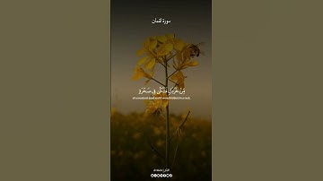 #سورة_لقمان بصوت الشيخ #ياسر_الدوسري #al1thekr #kuran  #quran_alkarim #قرآن #quran
