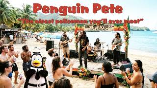 The Penguin Pete Song Reggae Version: Words & music © ℗ David Kelly.