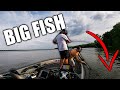 Catching Our BIGGEST BAG || Weeknight Bass Fishing Tournament