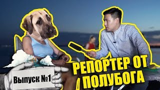 Репортер от полубога #1 - СКРИПТОНИТ поет про собак | Какая собака станет Акимом?