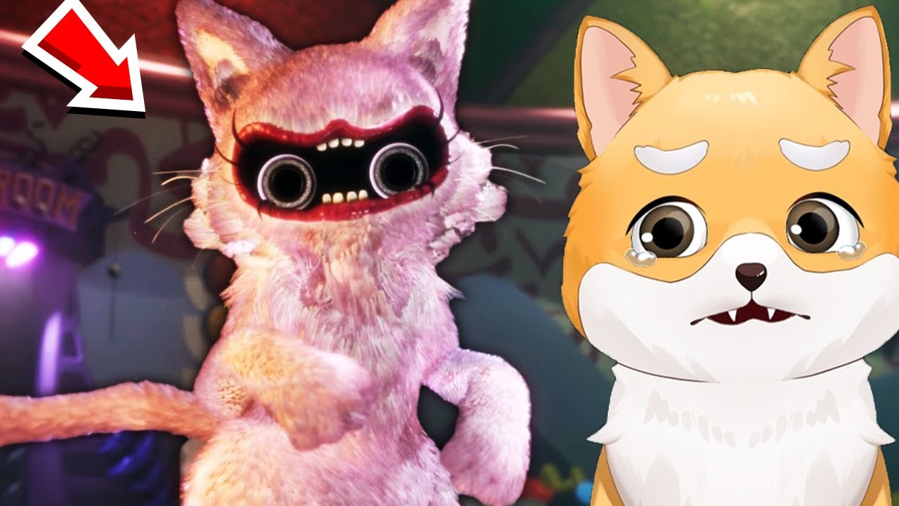 NU Vizita Pisica ROZ! De CE?!