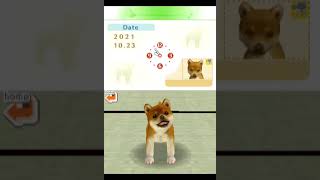 nintendogs 柴&フレンズ  Nintendogs: Shiba and Friends (Nintendo DS.JPN.2005)