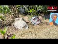 Gikuyu Cultural Tour | Túrí A Múmbi Art Center | THE KENYAN DIASPORA MEDIA | TKDM
