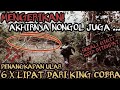 MENEGANGKAN! PENANGKAPAN ULAR 6 X LIPAT BERBISA DARI KING COBRA! SEKALI GIGIT BISA MATI DI TEMPAT