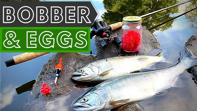 FLOAT FISHING 101 - Bobbers & Eggs For Salmon, Trout, & Steelhead 