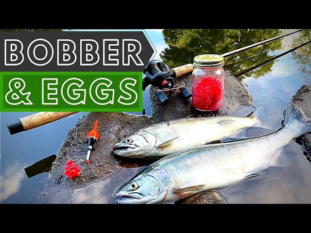 Bobber and Eggs for Salmon 101, BOBBER DOWNS