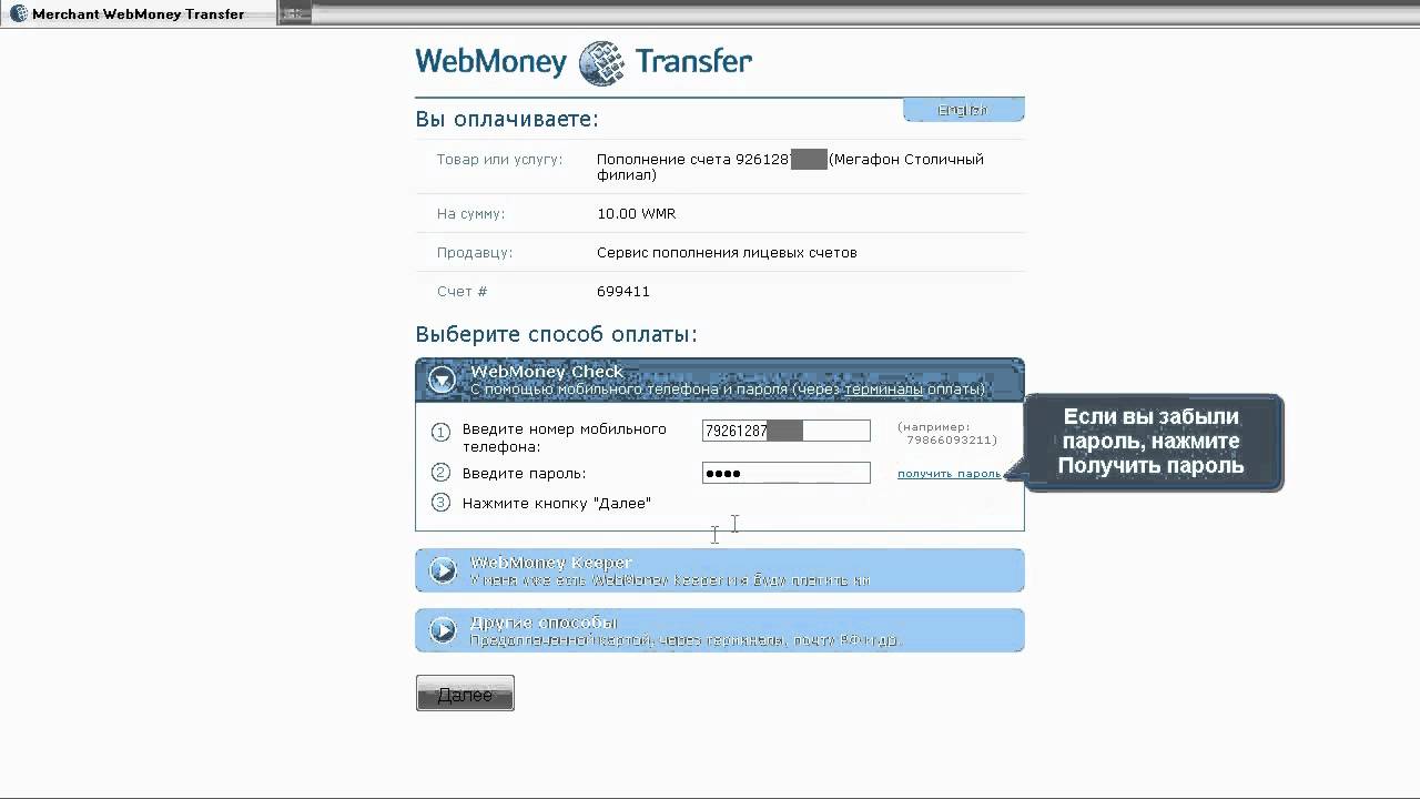 WebMoney Check