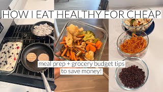 HOW I EAT HEATHLY FOR CHEAP! meal prep & grocery budget tips to save money!