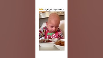 #الرقية_الشرعية #حمزة_بوديب #سورة_البقرة #الجمعة #دعاء_مستجاب #القارئ_حمزة_بوديب #الكهف #اكسبلور #ا