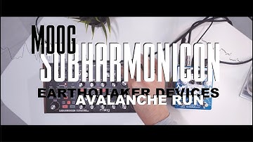 Moog SubHarmonicon: Ambient Jam with Avalanche Run