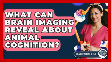 What Can Brain Imaging Reveal About Animal Cognition? - Brain Development Hub