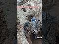 आज तक आप ने ऐसी Earthing नही देखी होगी| #earthing #shorts #shortsvideo @mahavirelectronic