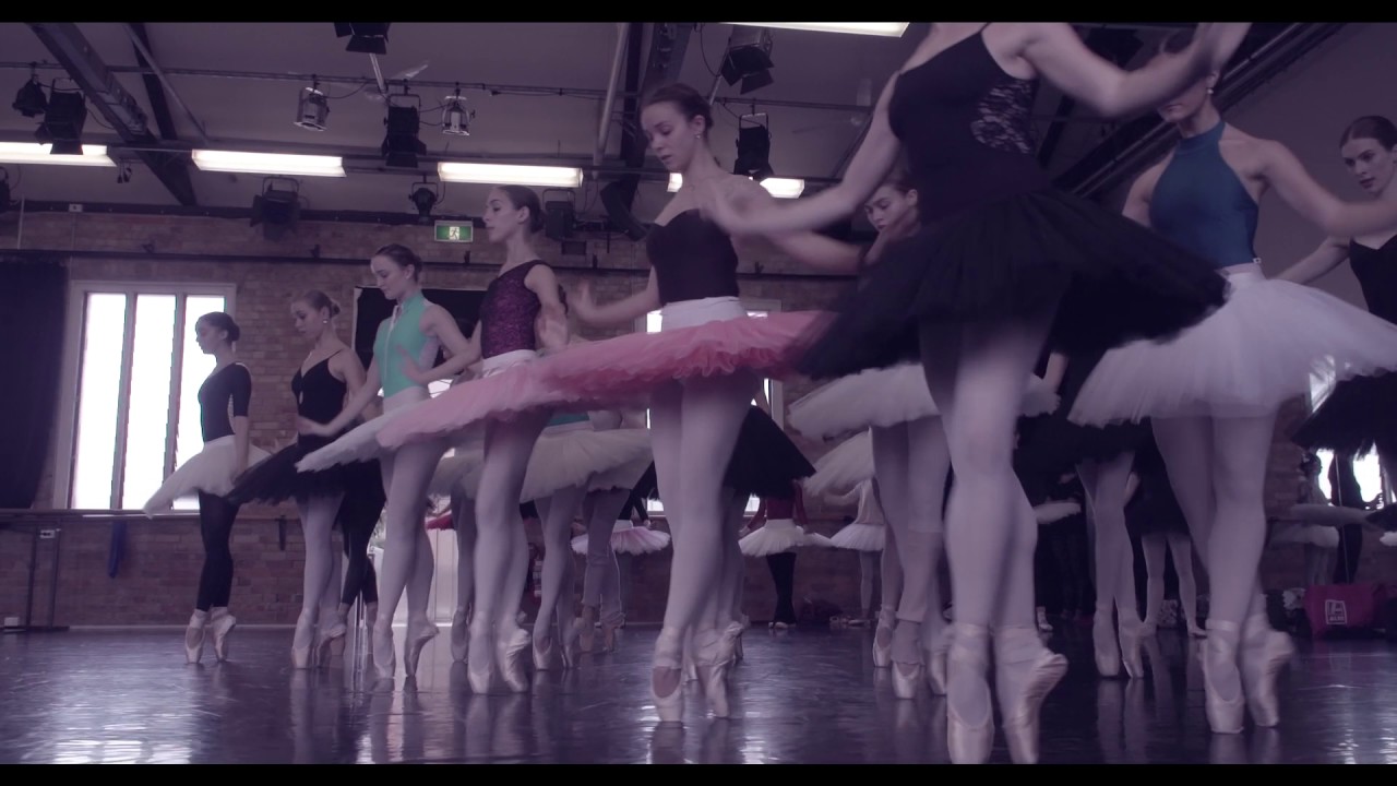 Swan Lake - Backstage with the Swans swan song перевод