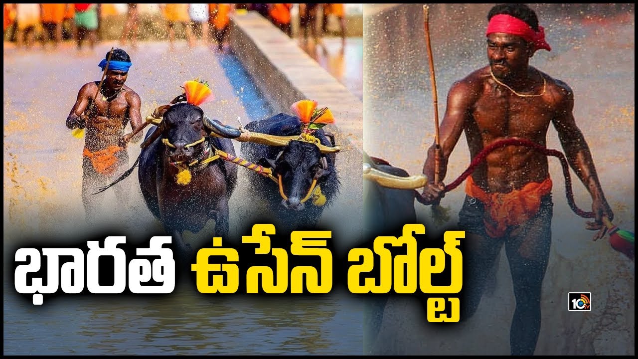 భారత ఉసేన్‌ బోల్ట్ | Buffalo Race Runner | Indian Usain Bolt Srinivasa Gowda Creates New Record