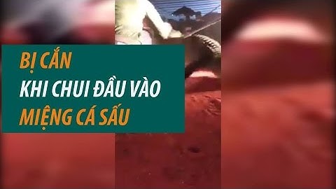 Diễn viên xiếc chui vào mồm cá sấu và cú táp nhớ đời