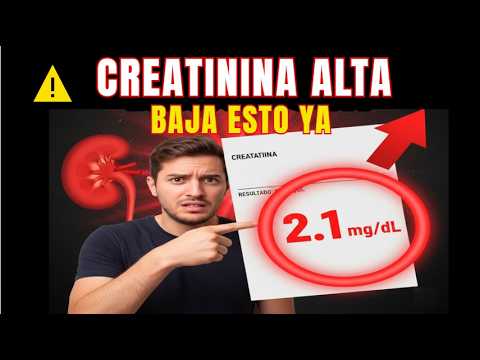 Cómo bajar la creatinina rápido y de forma segura - YouTube