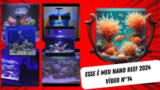 Esse é meu Nano Reef 2024 - Vídeo nº14 by Aquário Marinho -Sem Grana 2,381 views 4 days ago 17 minutes