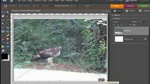 Digital Scrapbooking First Layout Tutorial Part 1